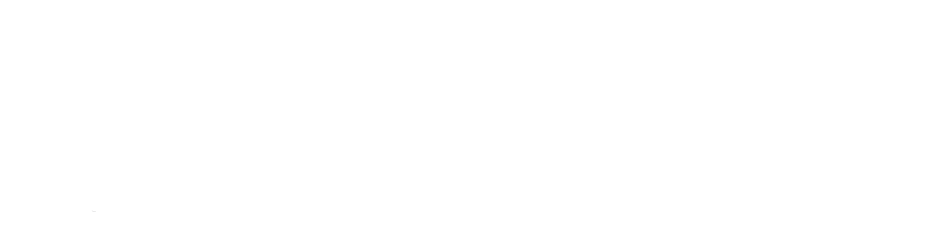 Logo HomeResQ